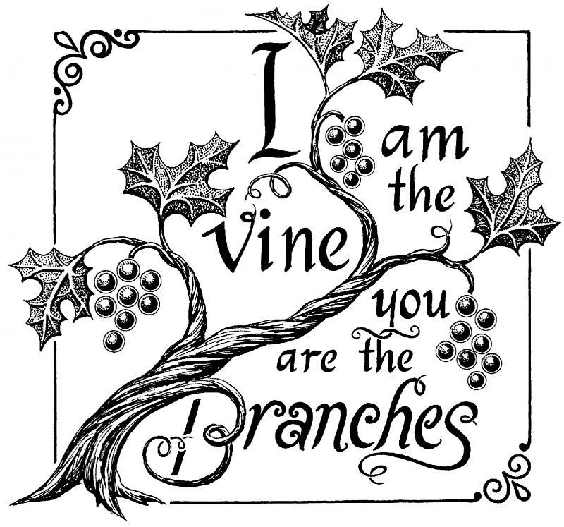I Am_the_Vine.2